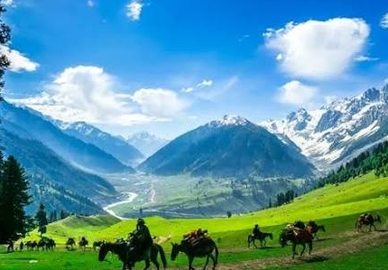 Chandigarh to Jammu Self Drive Car