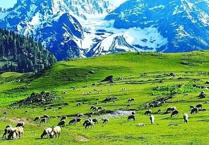Chandigarh to Kashmir Self Drive Car