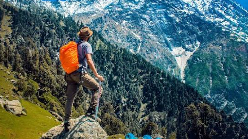 How Smart Travellers Plan Comfortable Himachal Road Holidays