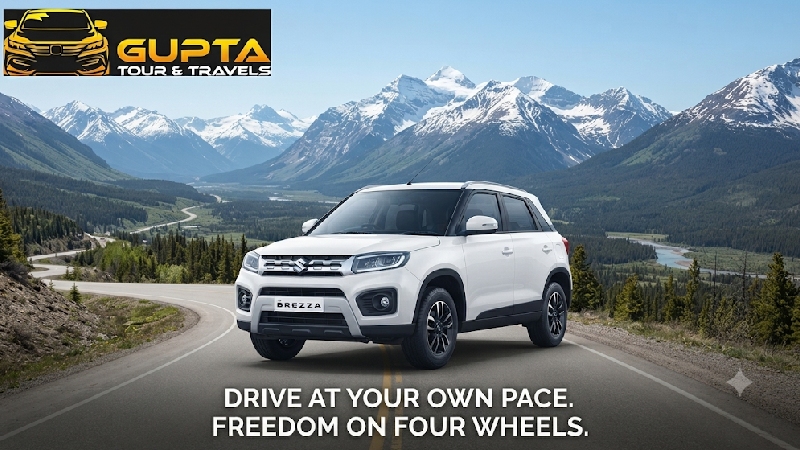 How to Pick the Right Car for Your Next Road Adventure